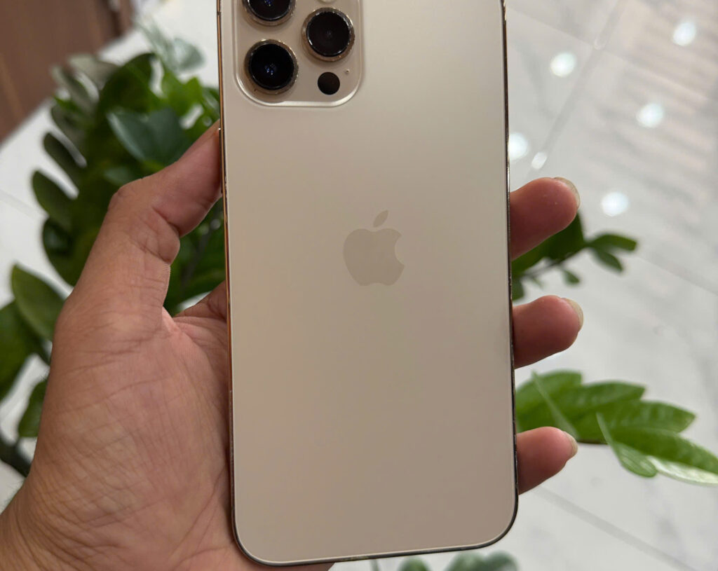 iPhone 12 Pro Max Quốc Tế 256GB, màn zin, main zin