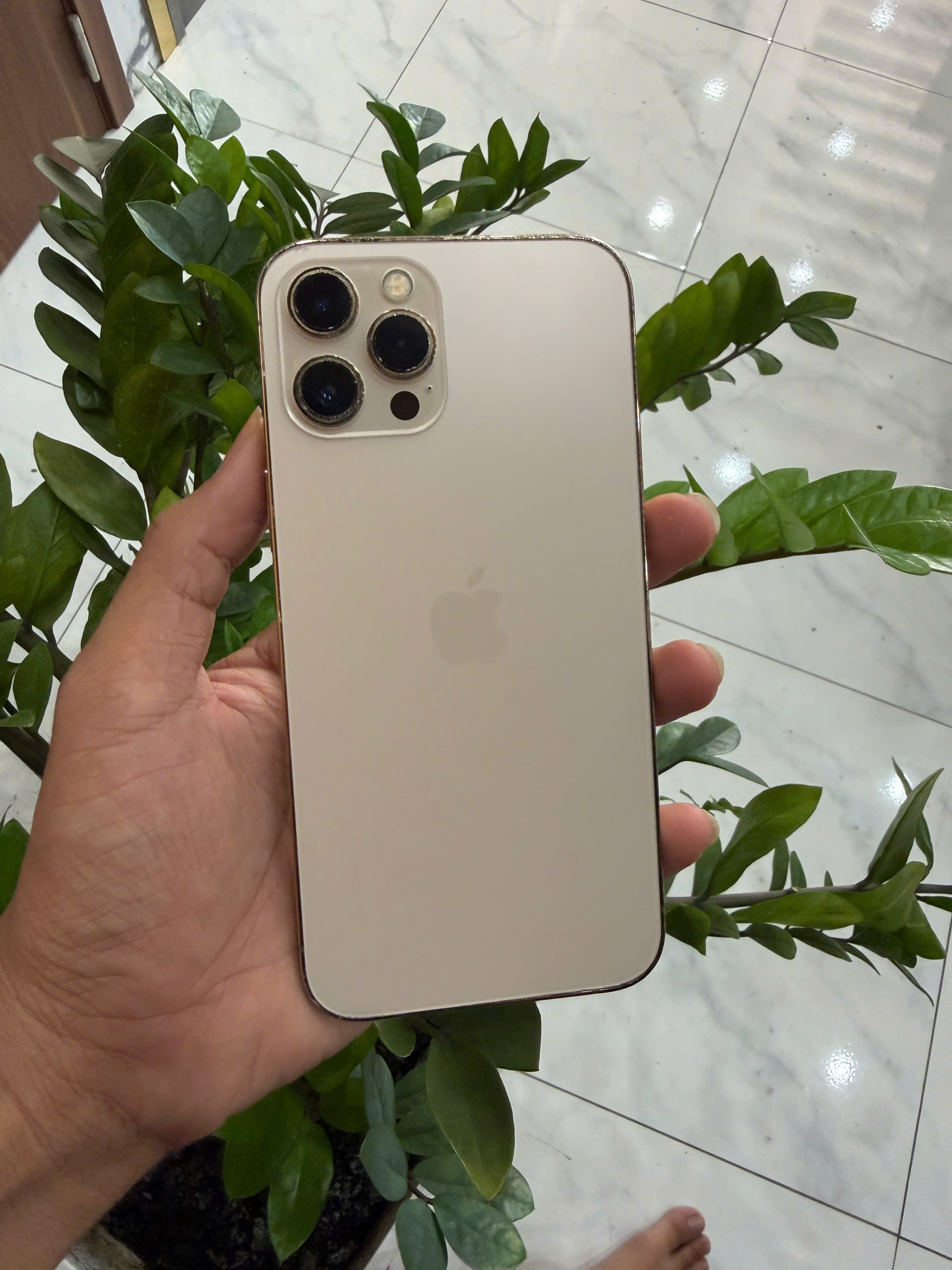IPhone 12 Pro Max 256GB màn GX, bypass không dùng SIM