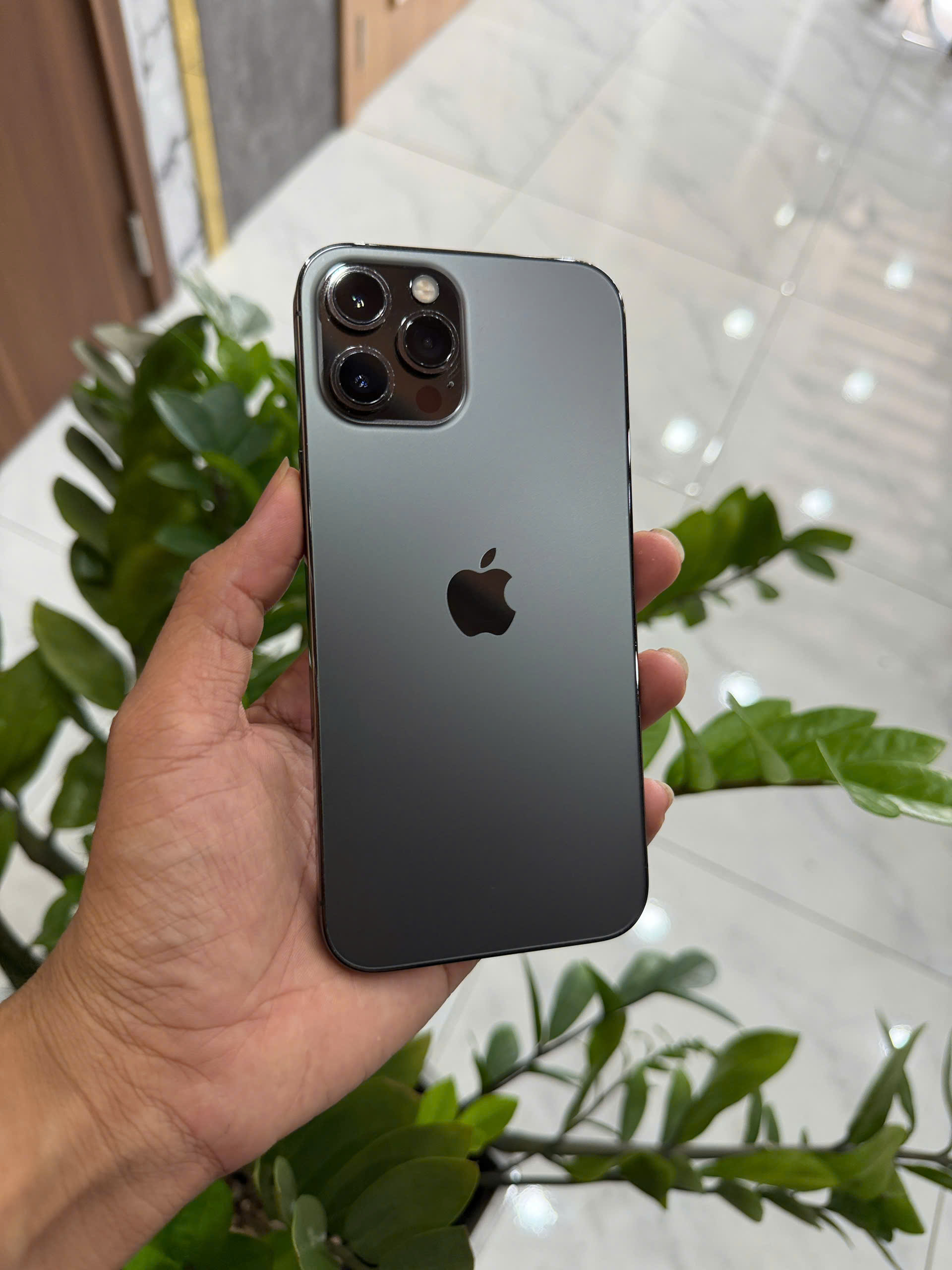 iPhone 12 Pro Max Quốc Tế 256GB
