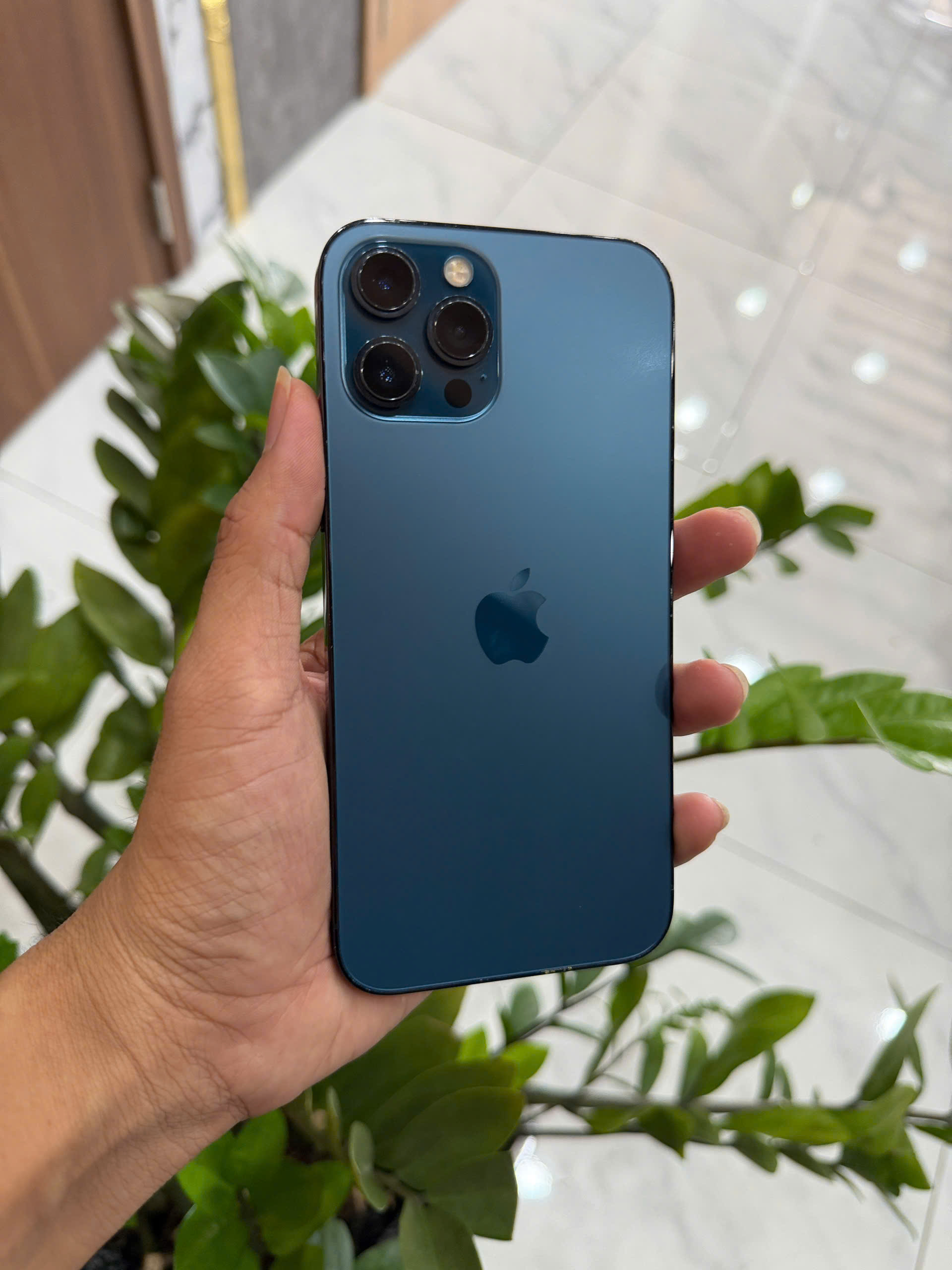 iPhone 12 Pro Max Quốc Tế 256GB